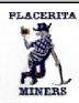 Pacerita logo
